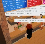 Ordermtcat101plushie.png (413 KB) Ordermtcat101plushie