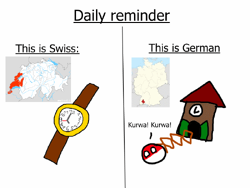 11825050 535551706596729 9212920685197052475 n.png