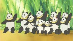 Panda Polar Bear Cafe Fandom