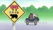 Grizzly driving with Polar Bear, Panda, and Penguin