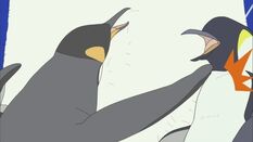 King Penguin Polar Bear Cafe Fandom