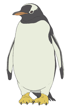 Gentoo Penguin Polar Bear Cafe Fandom