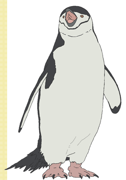 Shirokuma Cafe Polar Bear Shirokuma & Grizzly Childhood Mascot Rubber Key  Chain JAPAN ANIME - Japanimedia Store
