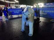 The Polar bear at the Polar Express Train ride at South Devon Railway