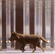 A wolf in the Polar Express book