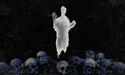 Ghost Division Flag