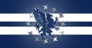 Guardian Flag
