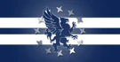 Guardian Flag