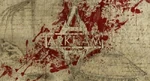 Arkham Asylum Flag2