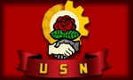 USN flag