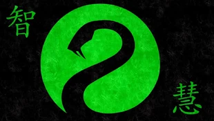 Snake Flag, representing Wisdom