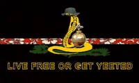 COTHB Flag II