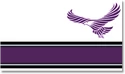The Legion Flag