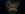 The Immortals New