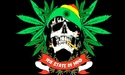 United Hoods Flag