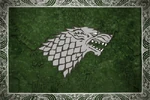 House Stark Third Flag