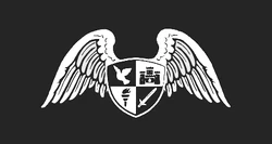 ResplendentInc War Flag