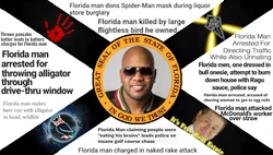 Florida Flag