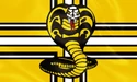 Cobra Kai Dojo Flag