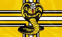 Cobra Kai Dojo Flag