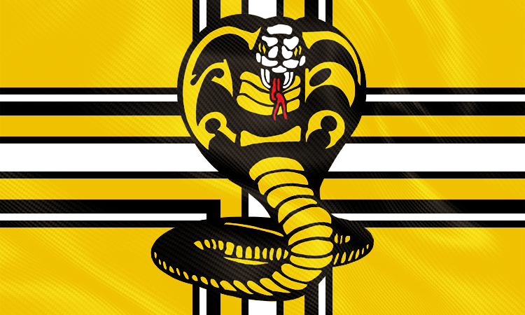 Cobra Kai  The Banner