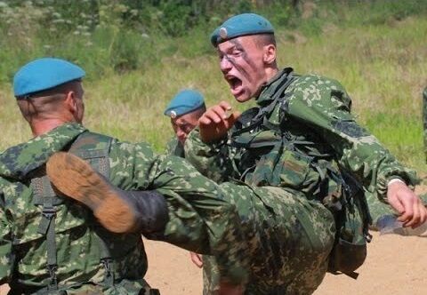 Blue Berets Divition Politics and War Wiki Fandom