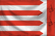 Dauchh Palki Flag