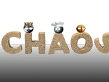 Chaos