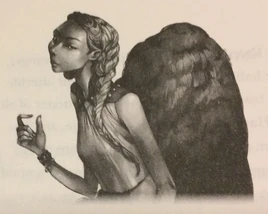 Przekreślone kółko z napisem „Brak zdjęcia”