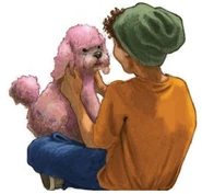 Grover i pudel Storczyk