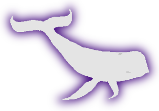 Whale lusus