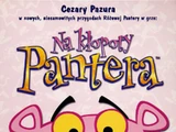Na kłopoty Pantera