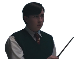 Neville Longbottom
