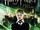 Harry Potter i Zakon Feniksa (gra komputerowa)