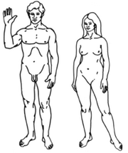 200px-Human-1-.png