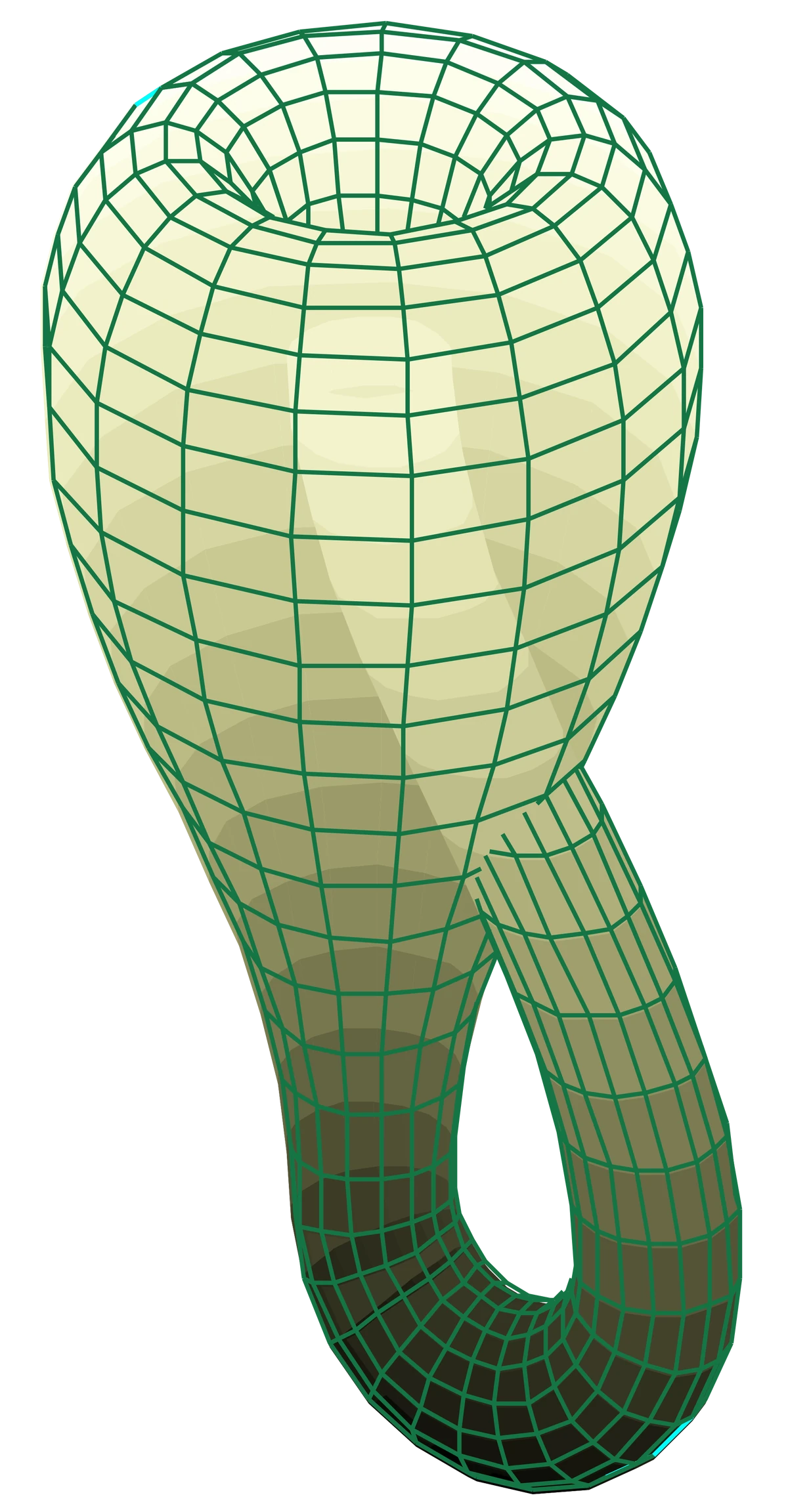 Klein Bottle Polytope Wikia Fandom