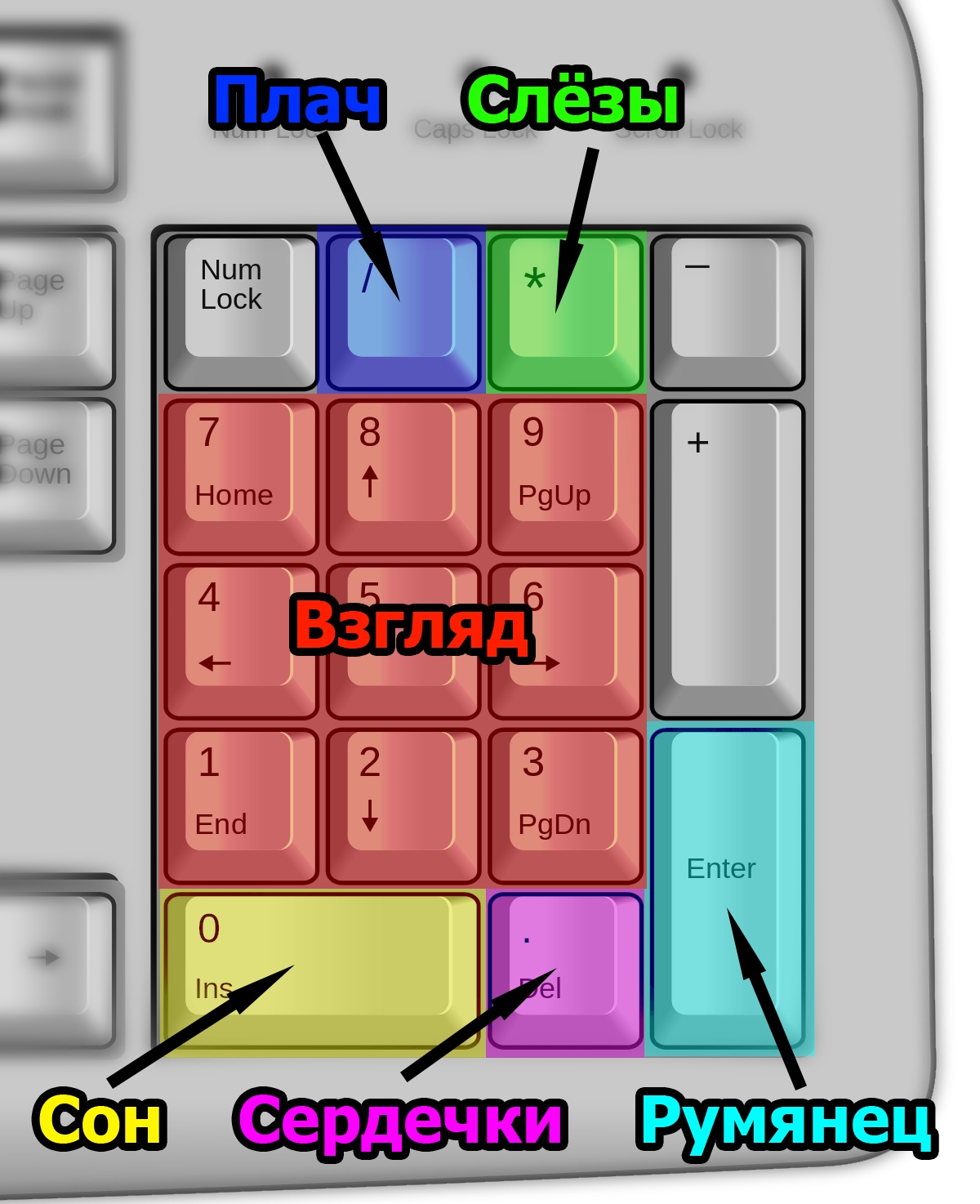 Как сделать кнопку в town. Как сделать кнопку в town. Как сделать скрин на без кнопки. Numpad на клавиатуре. Как сделать кнопку в town.