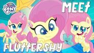 Fluttershy character bio