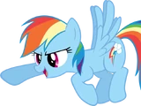 RainbwDash
