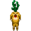 Mandragora