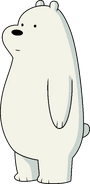 Ice Bear