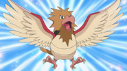 Spearow