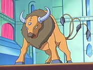 Tauros