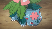 Mega Venusaur anime