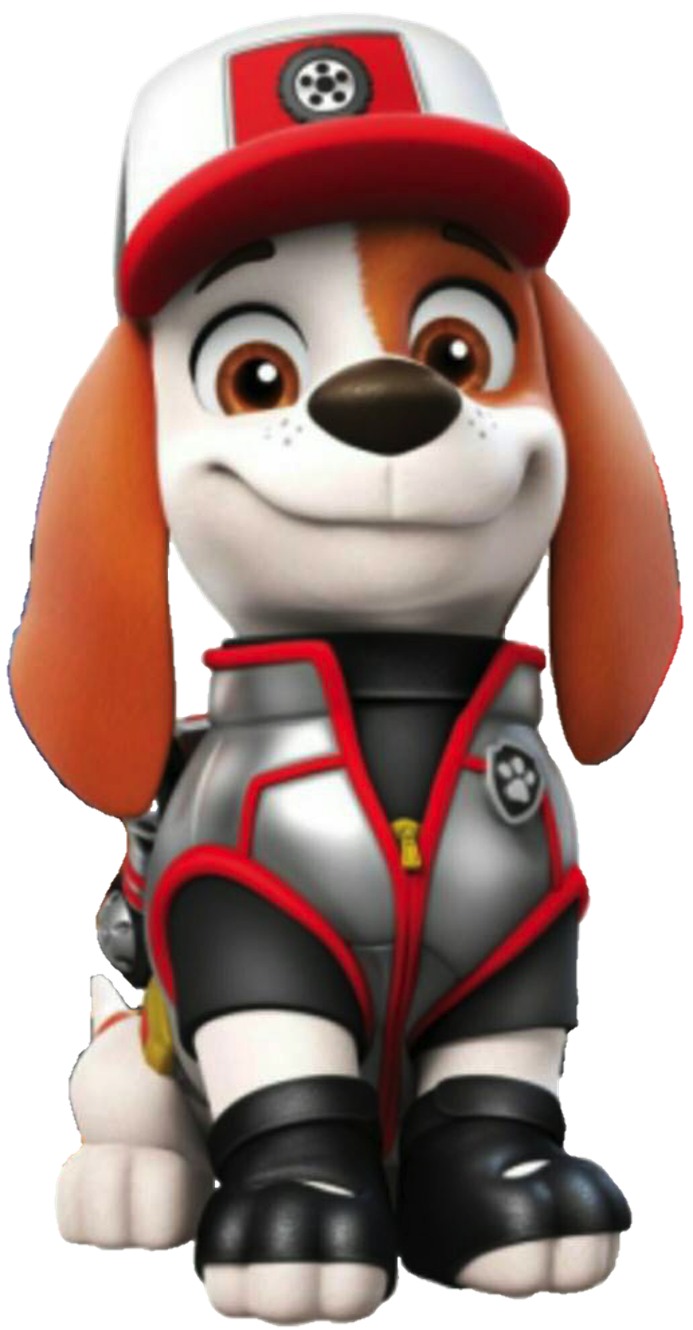 What Type of Dog is Al from Paw Patrol?: Unleashed Facts!