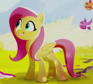 Fluttershy ID