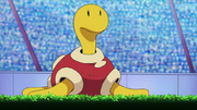 800px-Conway Shuckle