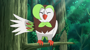 Hau Dartrix