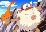 Primeape