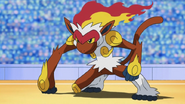 800px-Ash Infernape